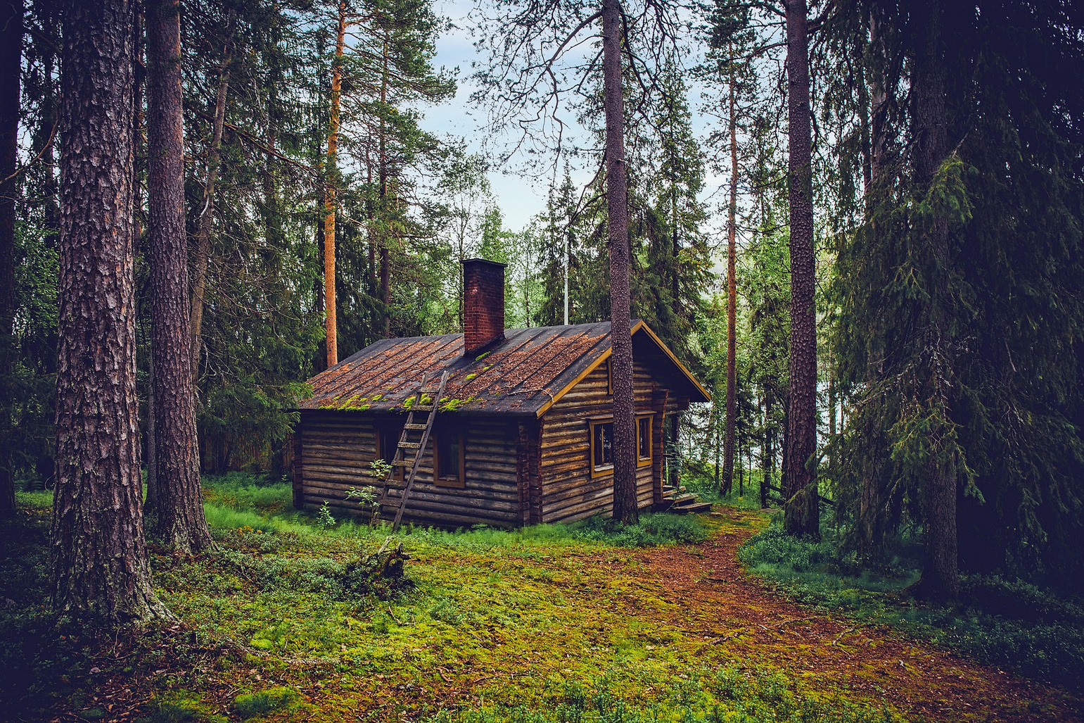 Log Cabin in the Forest